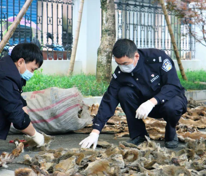 浙江人会干嘛/浙江人很会做生意吗