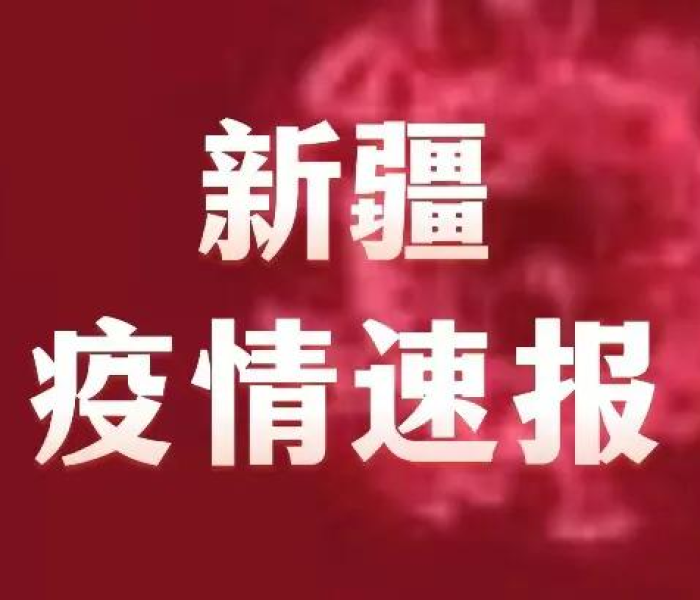 嘉兴交警大队违章查询（浙江省嘉兴交警网违章查询）
