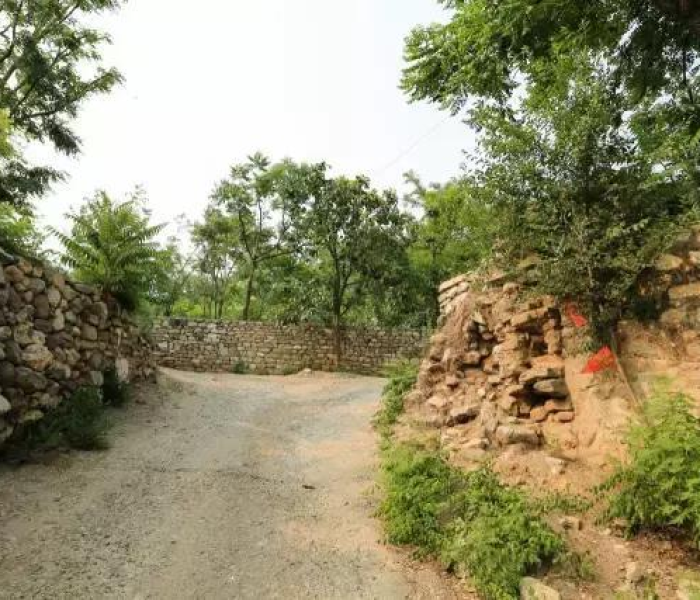 【上海人口总数2022年/上海人口2021总人数口是多少】