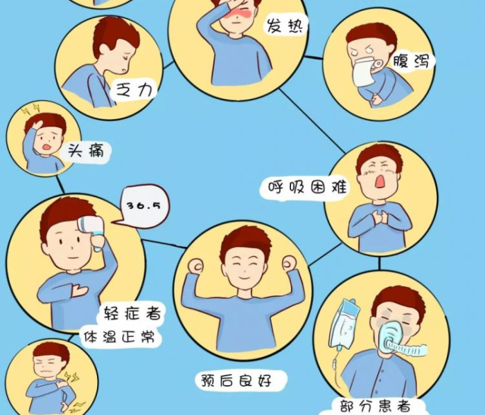 嘉兴交警大队违章查询（浙江省嘉兴交警网违章查询）