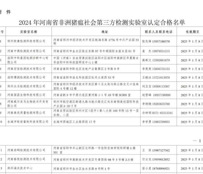 赛尔号雷神雷诺/赛尔号雷伊与雷诺