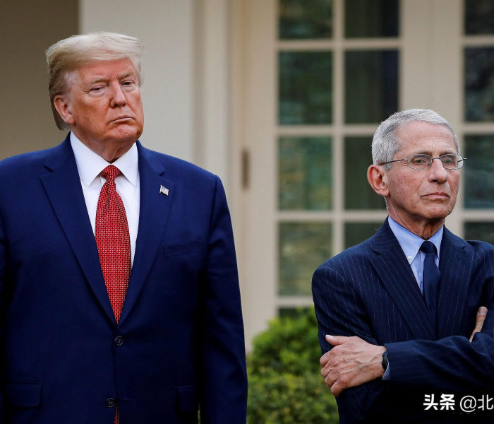 一分钟了解“微信金花房卡哪里买”获取房卡教程-哔哩哔哩