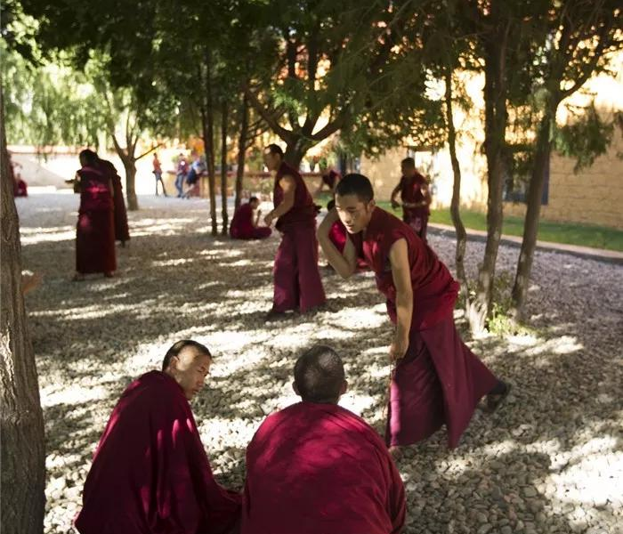 【西藏疫情最新数据消息今天新增/西藏疫情最新消息旅游自由行】