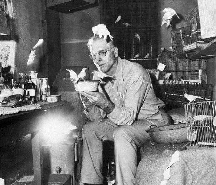 【出血热是什么病严重吗,出血热是什么意思?】