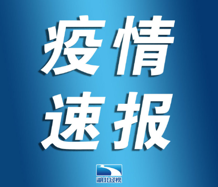 【湖北最新疫情通报最新消息,湖北最新疫情通报全国最新疫情通报】