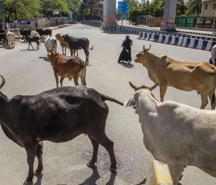 东城区疫情最新消息今天:东城区疫情最新消息今天封城了