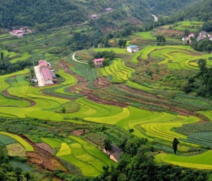 今日汉中宁强新闻，宁强县生态旅游与乡村振兴融合发展，打造秦巴山区新名片