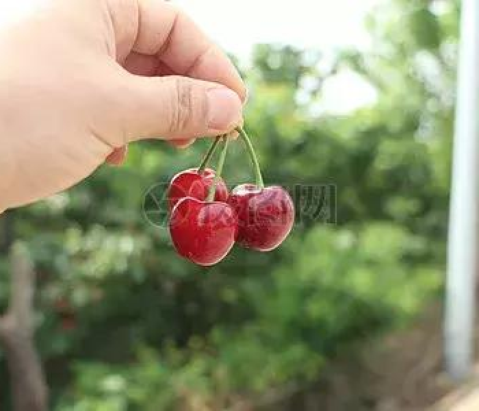 晋州市地图高清版/晋州市地图高清版大图 晋州市地图高清版/晋州市地图高清版大图