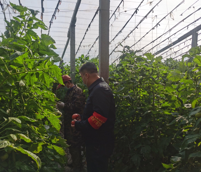 房卡必备教程“白帝大厅链接房卡充值”房卡获取方式 房卡必备教程“白帝大厅链接房卡充值”房卡获取方式