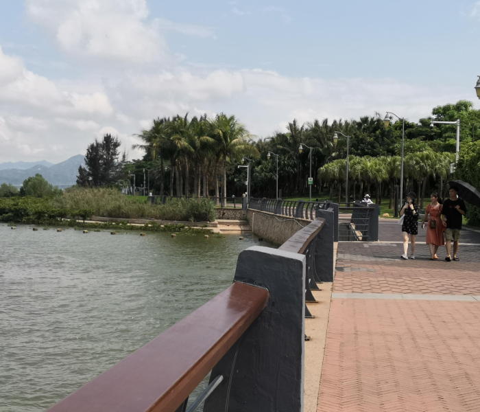 【深圳限行信息网/深圳限行最新通知2020】