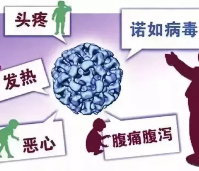 江苏发现最新传染病2020:江苏发现最新传染病2020年 江苏发现最新传染病2020:江苏发现最新传染病2020年