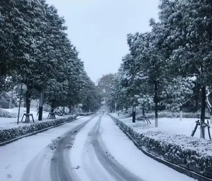 08年雪灾广东下雪没/08年的广东雪灾