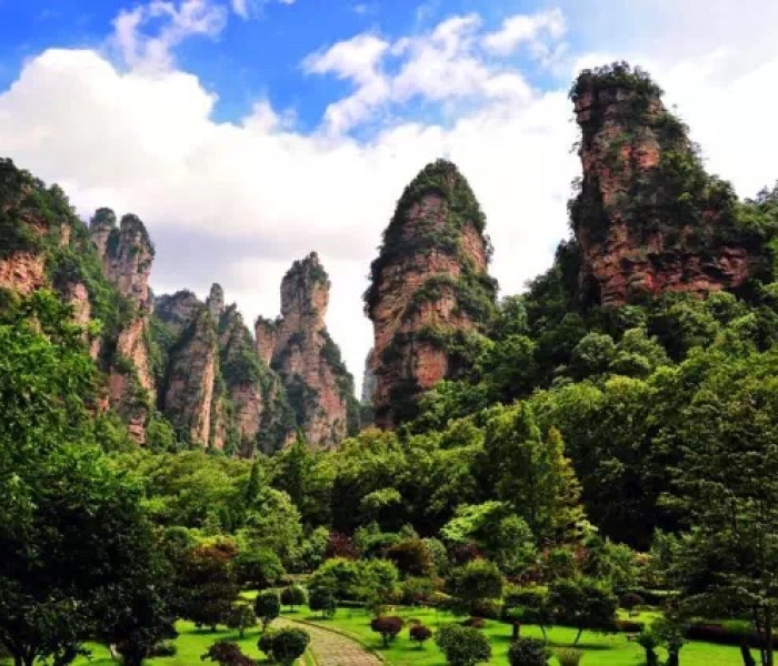 【核酸检测单人单管和五人一个管是怎么回事,核酸检测5个人一支管是怎么样回事】