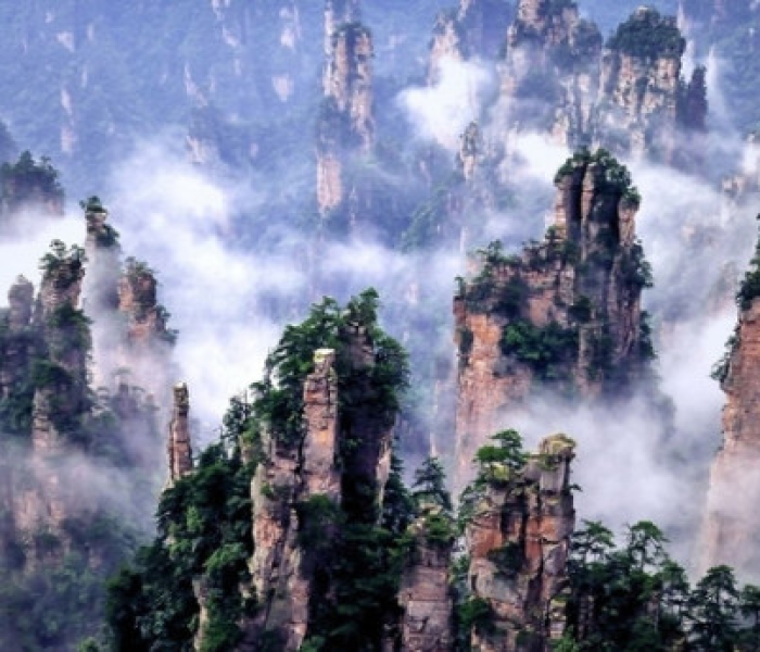 【南京张家界为何失守人员,南京弄错张家界】