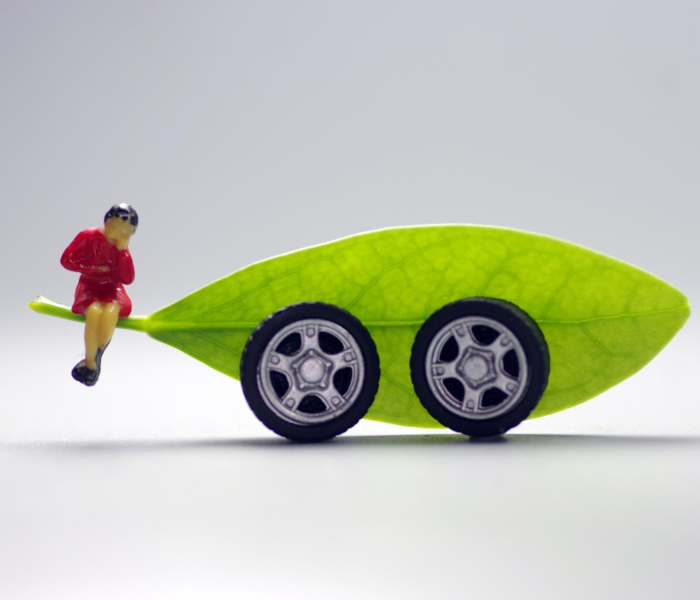 哈尔滨疫情再现跨省传播病毒情况/哈尔滨疫情再现跨省传播病毒