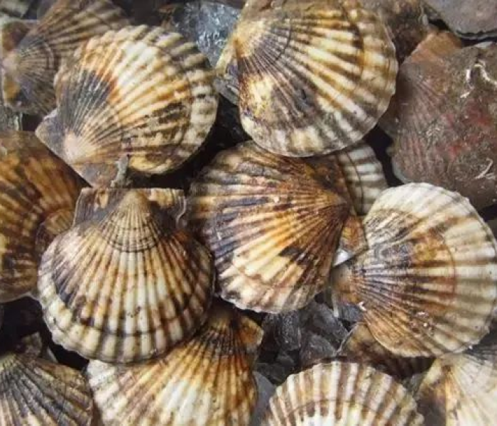 阿玛拉王国在哪洗点装备/阿玛拉王国最强装备一览