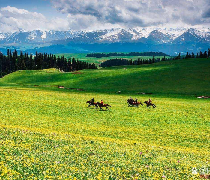 【新疆伊犁啥时候解封最新消息,新疆伊犁什么时候解封最新消息】