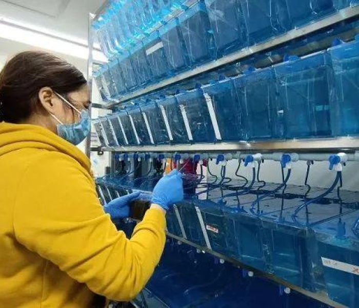 上海要做核酸检测吗?:上海要核酸检查吗