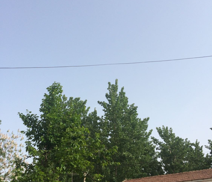 【河南虞城县天气预报/河南虞城县天气预报7天】