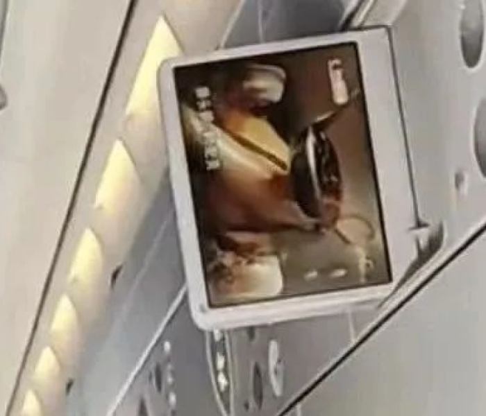 【麻将机必赢神器是如何工作的?/麻将机器怎么用】