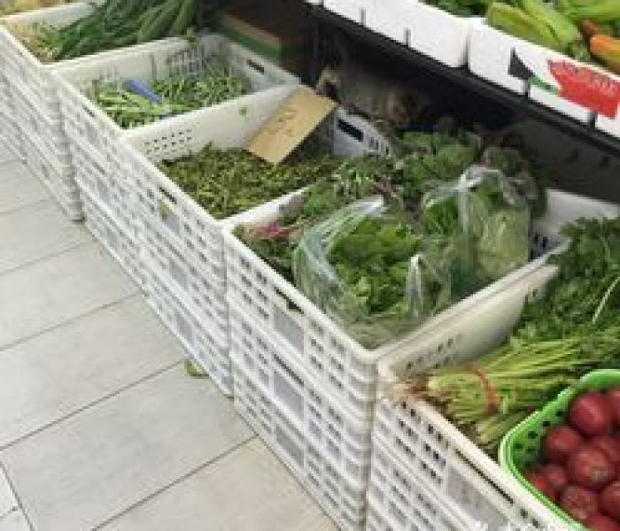 【2022年回国免隔离,回国隔离政策2021年5月】