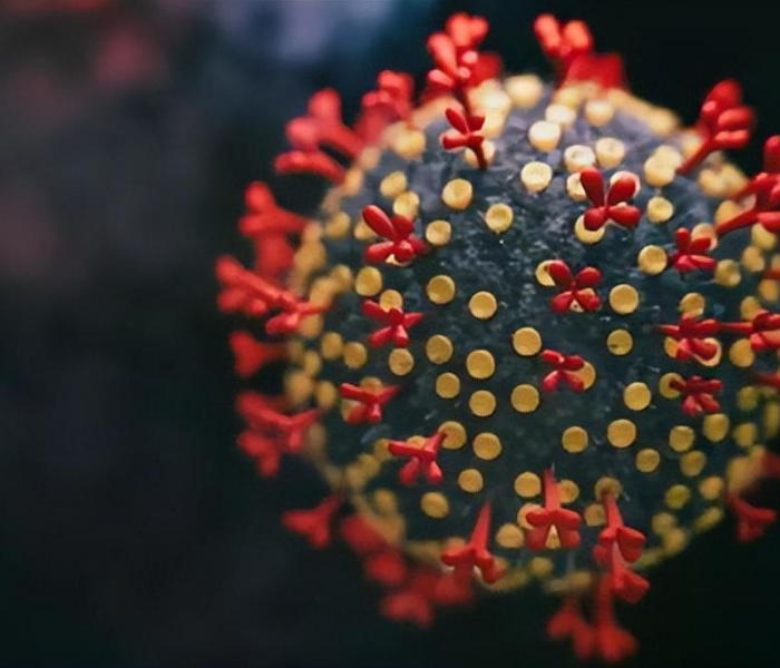 德尔塔变异病毒怎么传播:德尔塔变异病毒传染