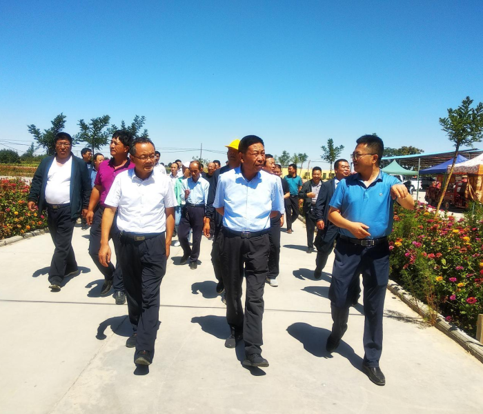 南京摘星文化是正规公司吗知乎/南京摘星文化是正规公司吗知乎 南京摘星文化是正规公司吗知乎/南京摘星文化是正规公司吗知乎