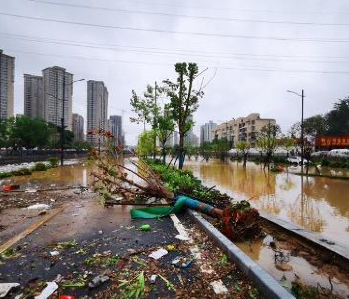 郑州高铁全面恢复运营/郑州高铁全面恢复