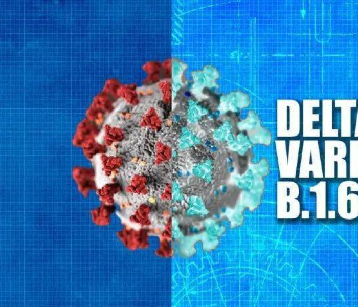 关于新冠病毒变异毒株“德尔塔”的信息