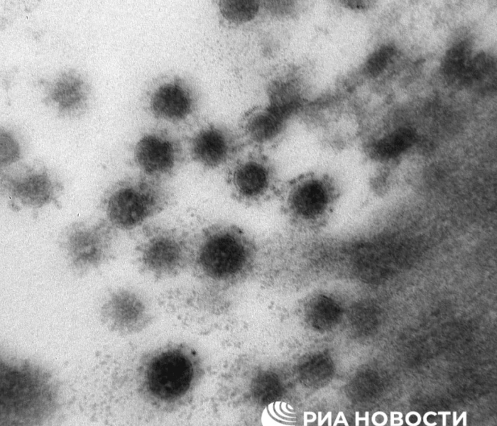 关于新冠病毒变异毒株“德尔塔”的信息