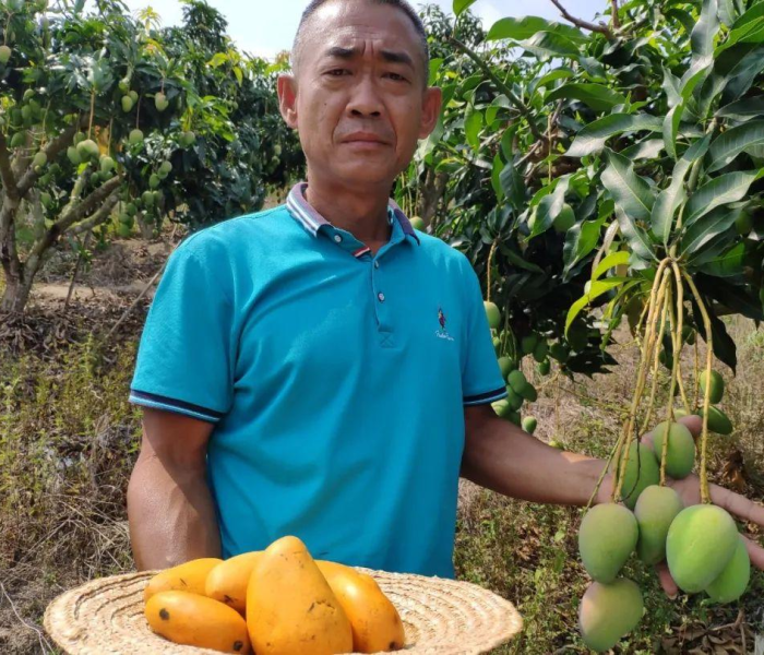 海南省役情详情/海南省役情最新情况