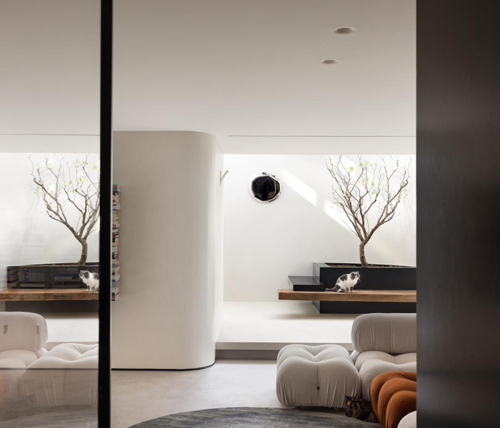 隐瞒北京轨迹被追责怎么办/隐瞒北京轨迹被追责