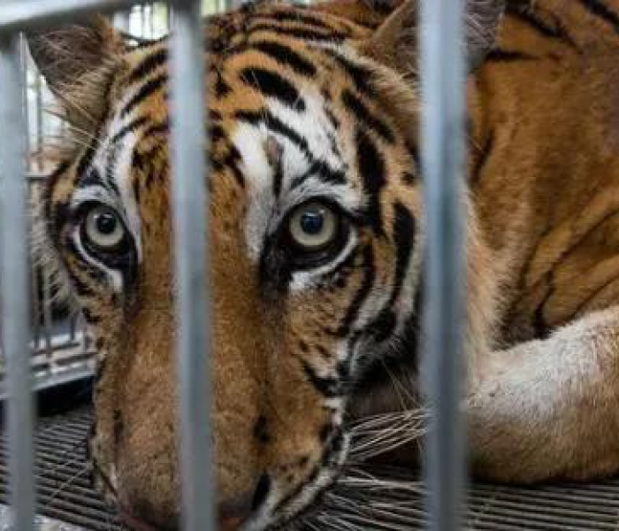 【全球疫情最新消息资讯,全球疫情最新消息报告】 【全球疫情最新消息资讯,全球疫情最新消息报告】