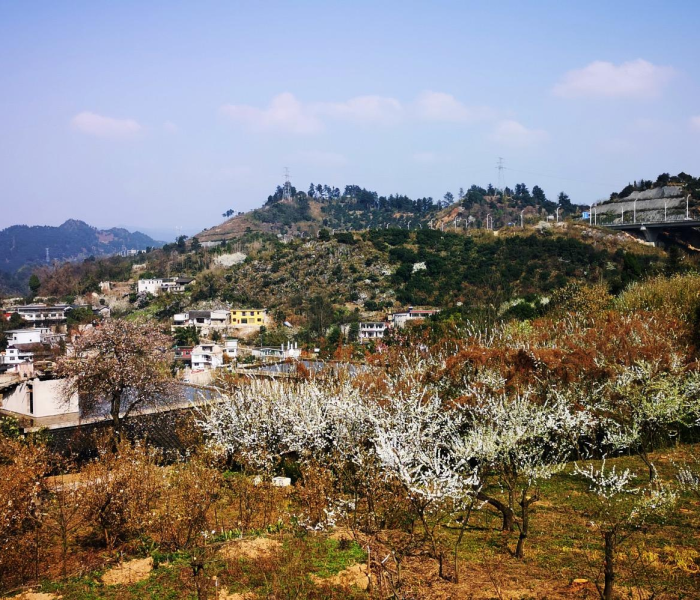 贵州最新的疫情情况最新消息（贵州最新疫情通报今天）