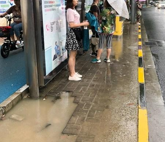 2020年上海招考热线官网入口（上海招考热线官方网站）