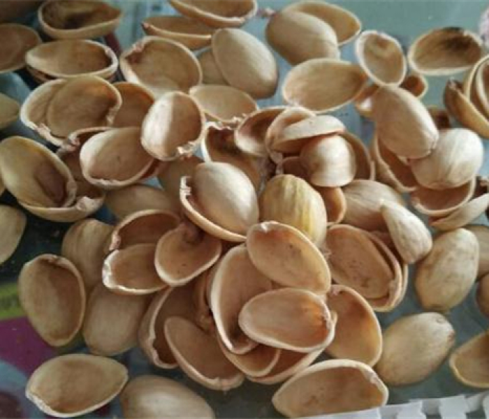 扇贝壳属于湿垃圾还是干垃圾呢/扇贝壳属于湿垃圾还是干垃圾