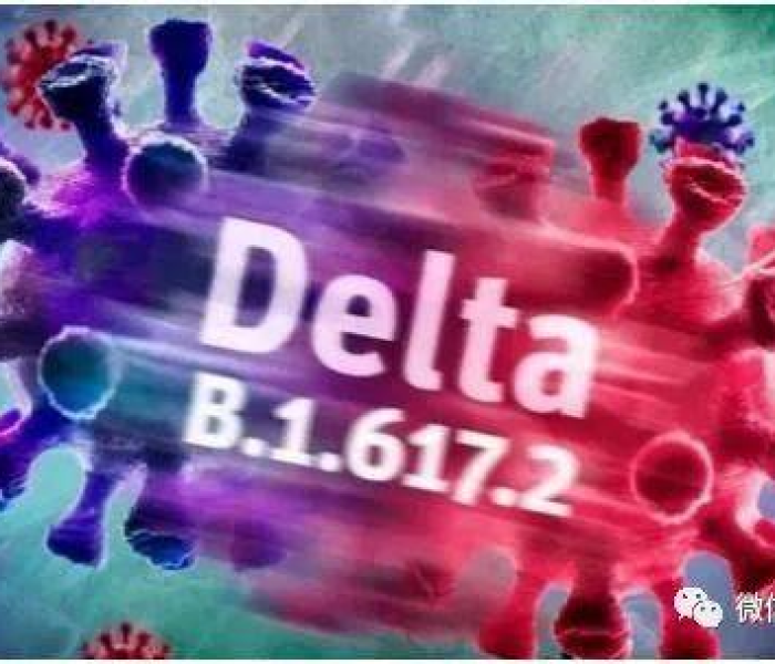 蒙古国发现德尔塔毒株视频（德尔塔毒株发现时间）