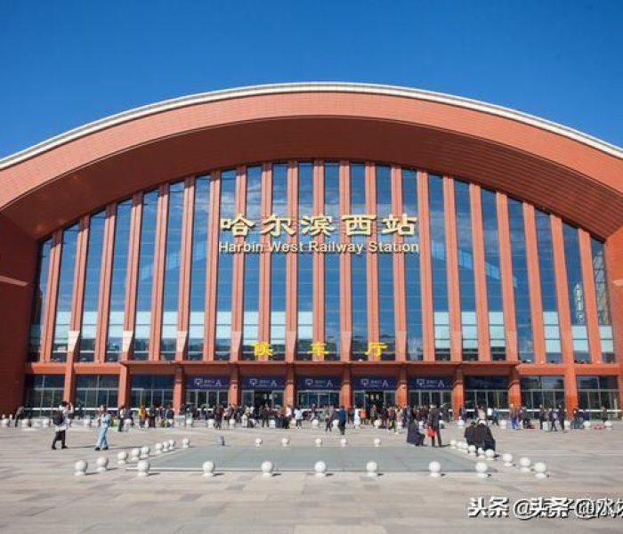 哈尔滨新闻综合频道在线直播观看/哈尔滨新闻综合频道