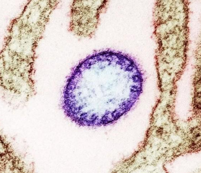 给大家讲解“微信牛牛房卡客服微信号”轻松获取房卡全渠道