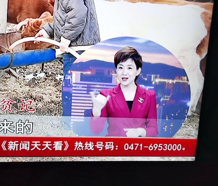 【呼和浩特新闻天天看播出时间/呼和浩特新闻天天看播出时间是几点】