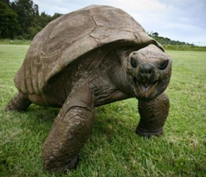 混管异常什么意思啊/混管异常什么意思啊怎么办