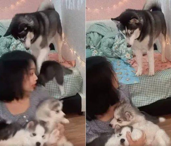 【退伍费是一次性给还是分批/12年退伍费有100万吗】