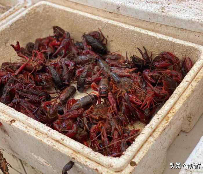 寿光发现疑似病例/寿光确诊