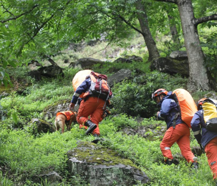 【山西出现1例确诊病例密接者,山西出现1例确诊病例密接者是哪里的】