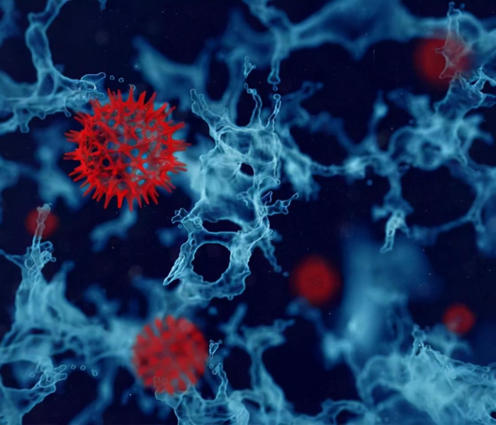 【西安出血热疫情最新消息新闻/陕西出血热疫情最新消息】 【西安出血热疫情最新消息新闻/陕西出血热疫情最新消息】