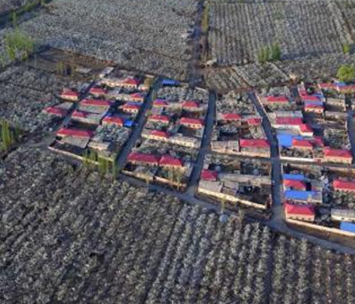 库尔勒现在能不能进:库尔勒现在能不能进京 库尔勒现在能不能进:库尔勒现在能不能进京