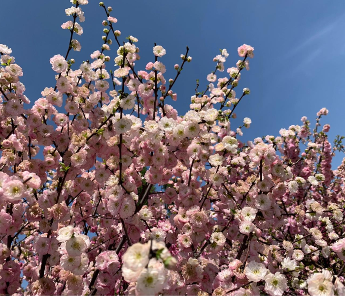 太谷到太原的火车停运了吗/太谷到太原的火车停运了吗今天