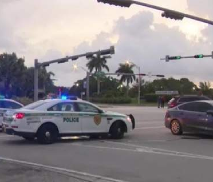 师宗新闻最新消息今天2020年/师宗新闻最新消息今天2020年11月