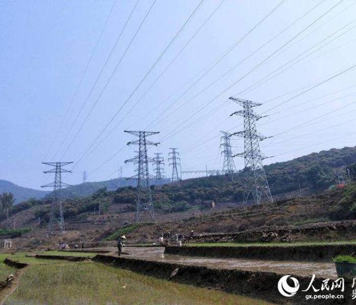 内江战疫新观察，精准防控下的城市脉动与民生温度