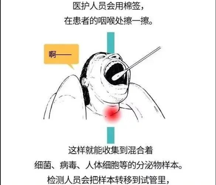 【广州越秀区核酸检测机构/广州越秀区核酸检测机构有哪些】